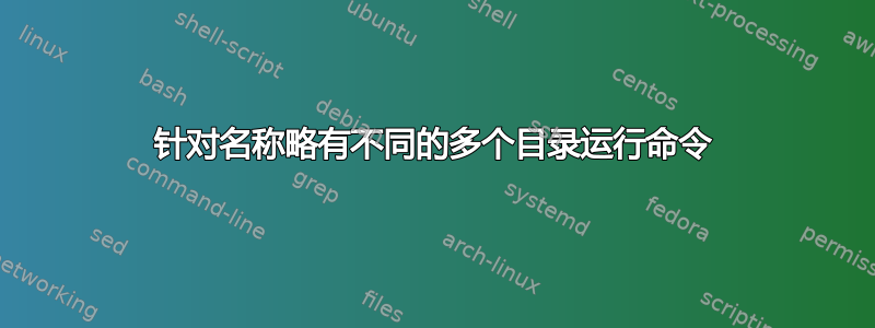 针对名称略有不同的多个目录运行命令