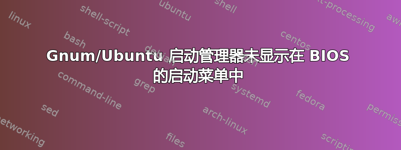 Gnum/Ubuntu 启动管理器未显示在 BIOS 的启动菜单中