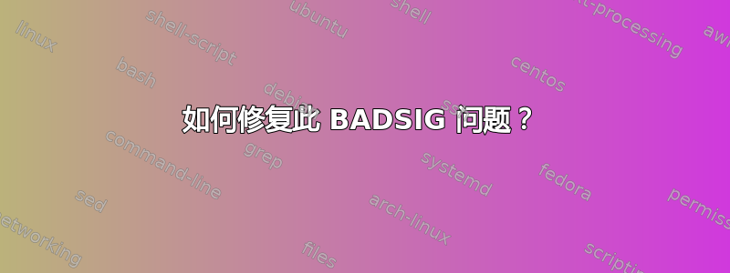 如何修复此 BADSIG 问题？