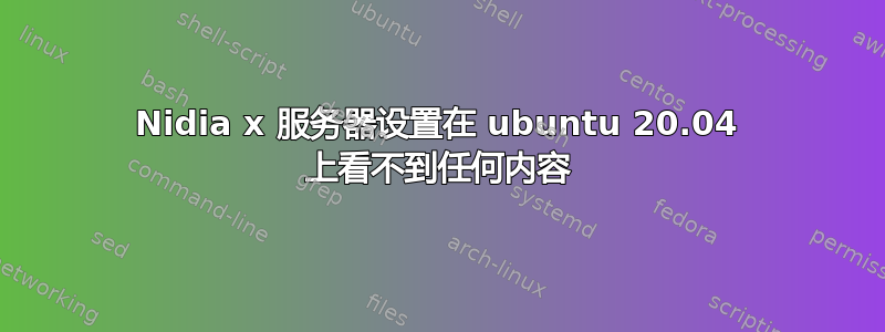 Nidia x 服务器设置在 ubuntu 20.04 上看不到任何内容