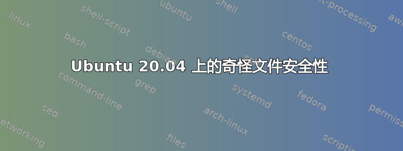 Ubuntu 20.04 上的奇怪文件安全性