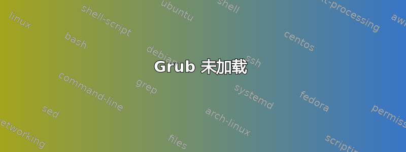 Grub 未加载