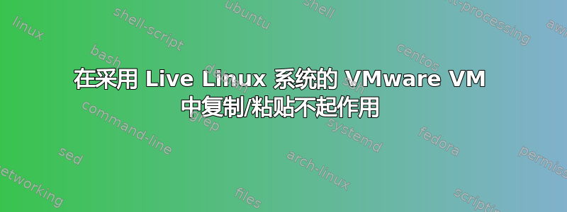 在采用 Live Linux 系统的 VMware VM 中复制/粘贴不起作用