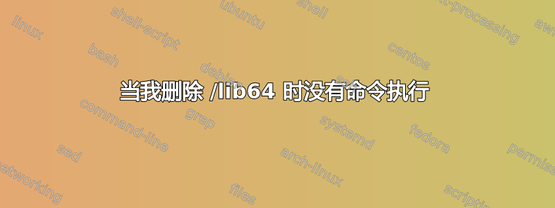 当我删除 /lib64 时没有命令执行