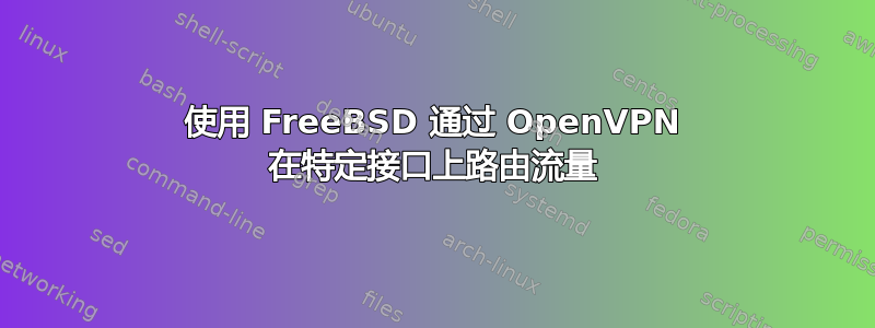 使用 FreeBSD 通过 OpenVPN 在特定接口上路由流量