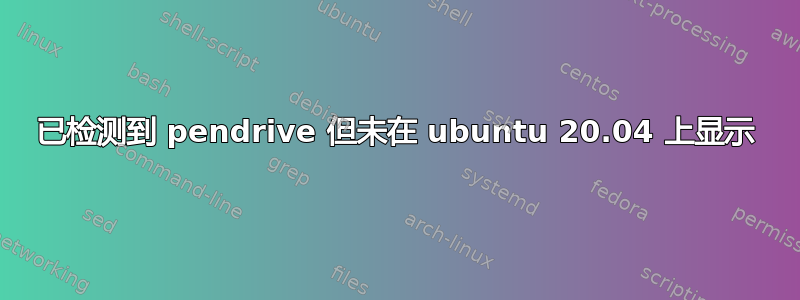 已检测到 pendrive 但未在 ubuntu 20.04 上显示