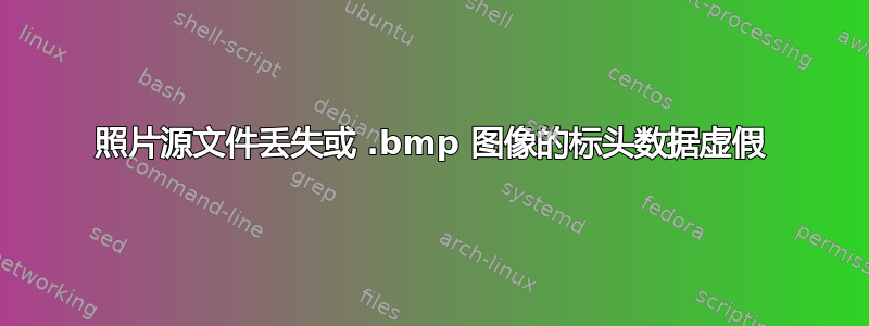 照片源文件丢失或 .bmp 图像的标头数据虚假