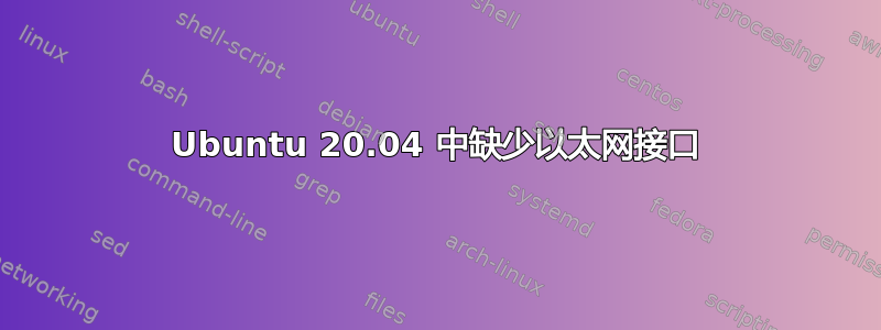 Ubuntu 20.04 中缺少以太网接口