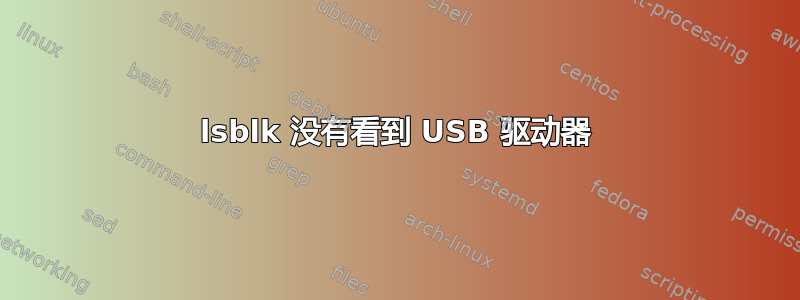 lsblk 没有看到 USB 驱动器