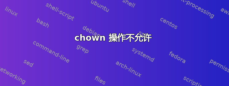 chown 操作不允许