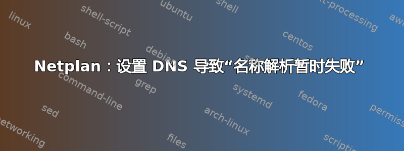 Netplan：设置 DNS 导致“名称解析暂时失败”