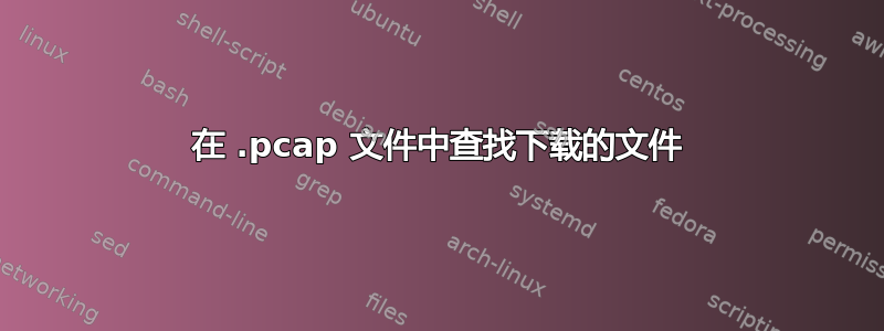 在 .pcap 文件中查找下载的文件