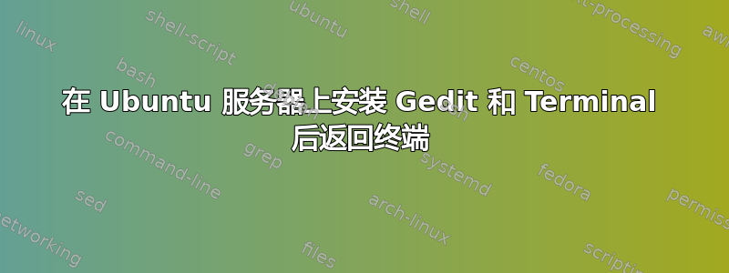 在 Ubuntu 服务器上安装 Gedit 和 Terminal 后返回终端