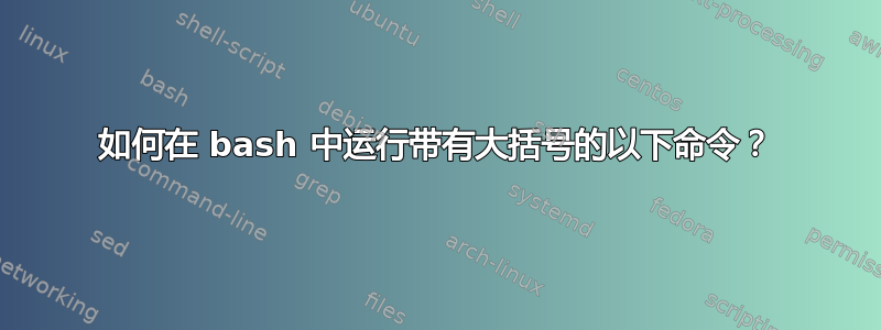 如何在 bash 中运行带有大括号的以下命令？