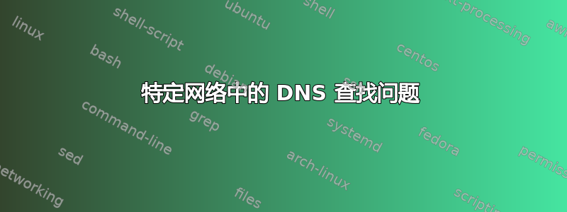 特定网络中的 DNS 查找问题