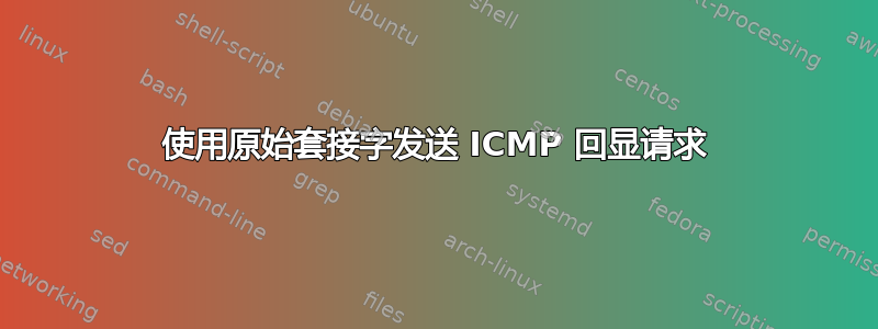 使用原始套接字发送 ICMP 回显请求