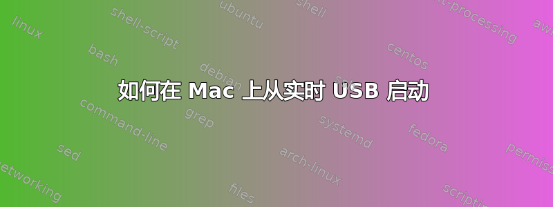 如何在 Mac 上从实时 USB 启动