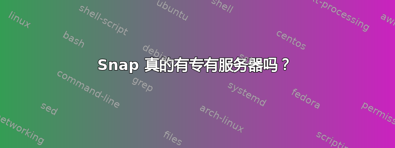 Snap 真的有专有服务器吗？