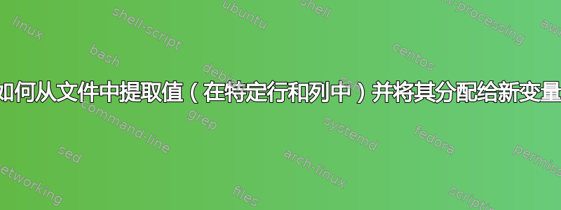 如何从文件中提取值（在特定行和列中）并将其分配给新变量