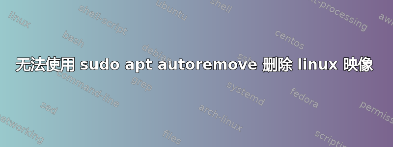 无法使用 sudo apt autoremove 删除 linux 映像