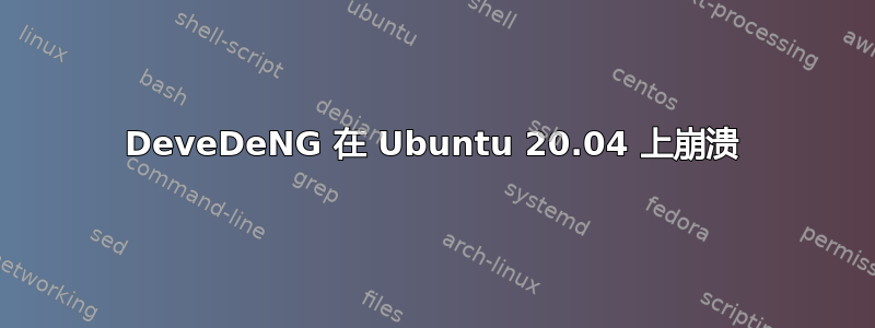 DeveDeNG 在 Ubuntu 20.04 上崩溃