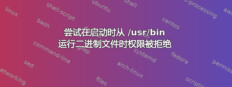 尝试在启动时从 /usr/bin 运行二进制文件时权限被拒绝