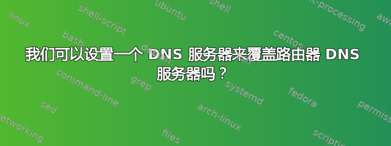 我们可以设置一个 DNS 服务器来覆盖路由器 DNS 服务器吗？