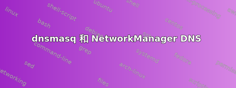 dnsmasq 和 NetworkManager DNS