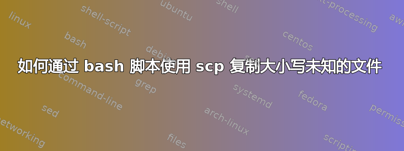 如何通过 bash 脚本使用 scp 复制大小写未知的文件