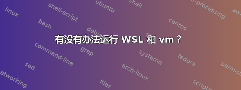 有没有办法运行 WSL 和 vm？