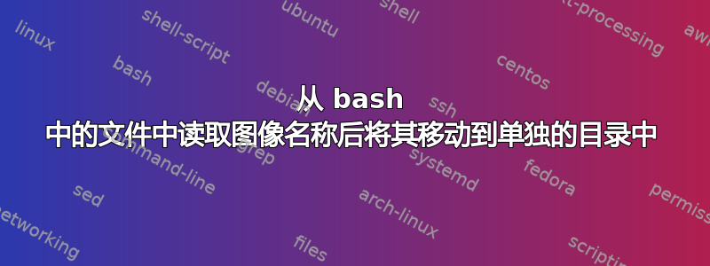 从 bash 中的文件中读取图像名称后将其移动到单独的目录中