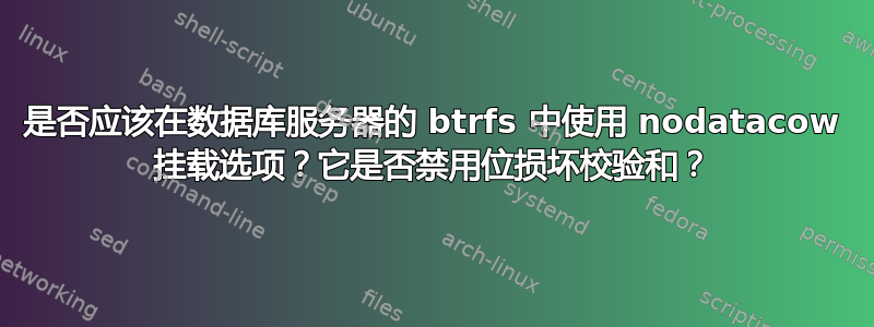 是否应该在数据库服务器的 btrfs 中使用 nodatacow 挂载选项？它是否禁用位损坏校验和？