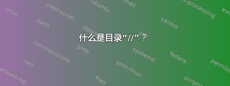 什么是目录“//”？