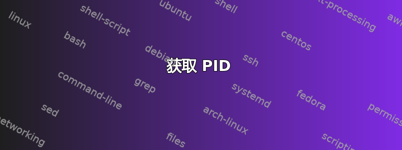 获取 PID