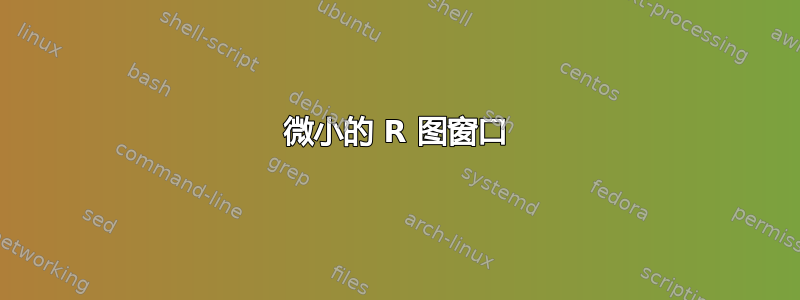 微小的 R 图窗口