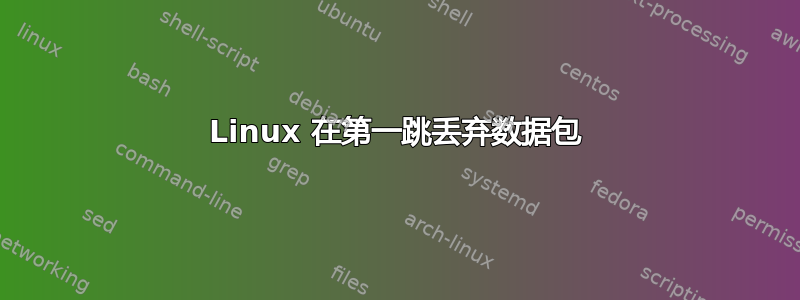 Linux 在第一跳丢弃数据包