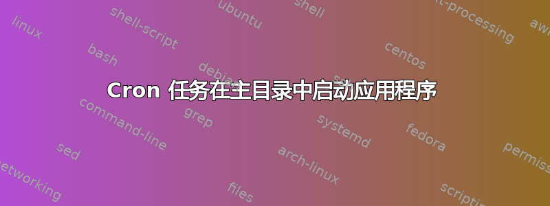 Cron 任务在主目录中启动应用程序