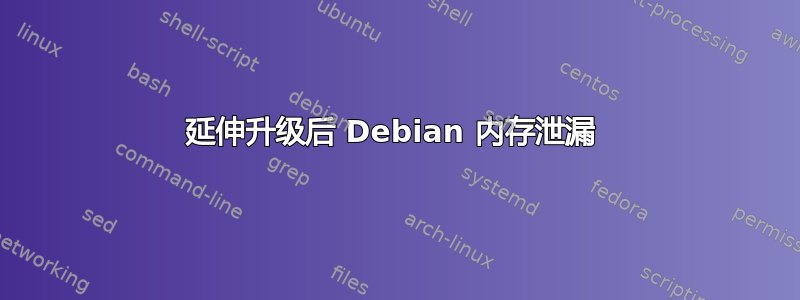 延伸升级后 Debian 内存泄漏 