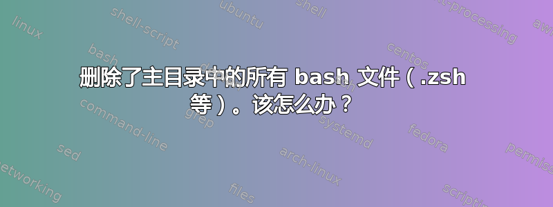 删除了主目录中的所有 bash 文件（.zsh 等）。该怎么办？