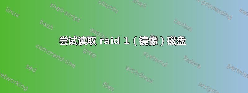 尝试读取 raid 1（镜像）磁盘