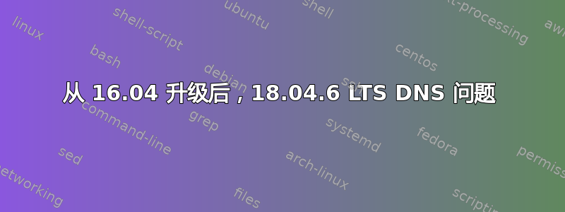 从 16.04 升级后，18.04.6 LTS DNS 问题