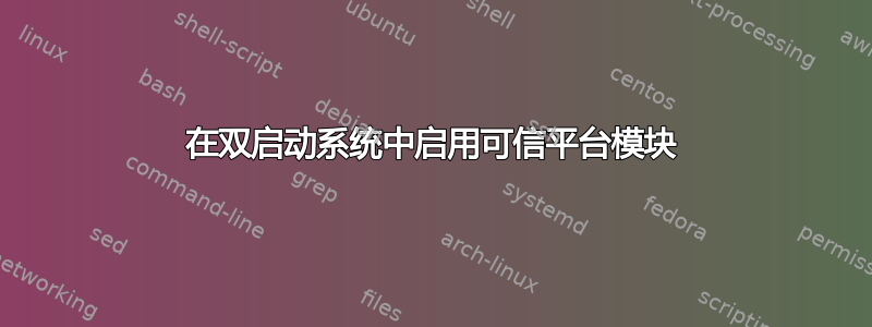 在双启动系统中启用可信平台模块