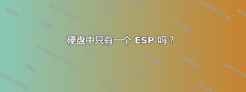 硬盘中只有一个 ESP 吗？