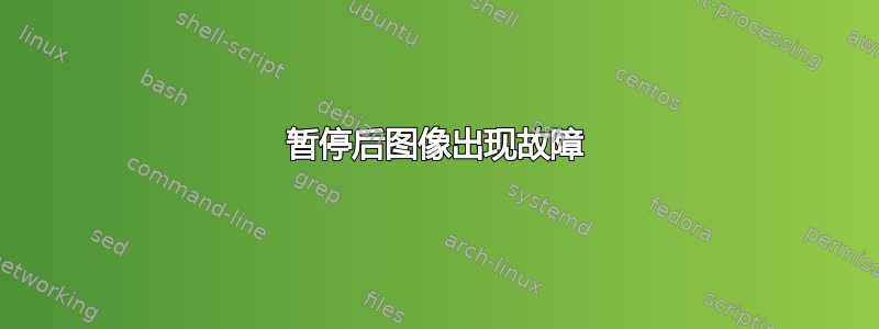 暂停后图像出现故障