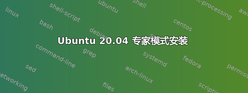 Ubuntu 20.04 专家模式安装