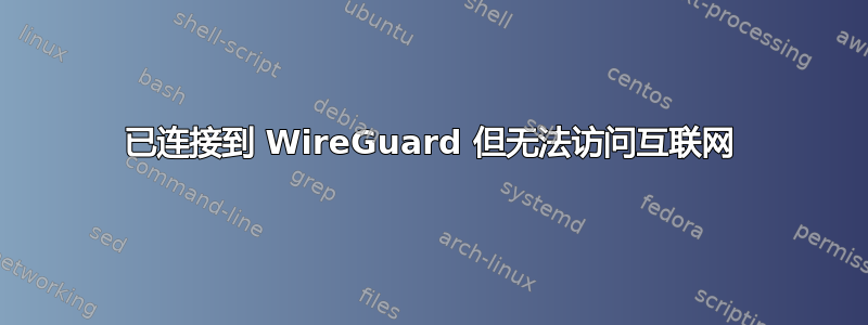 已连接到 WireGuard 但无法访问互联网