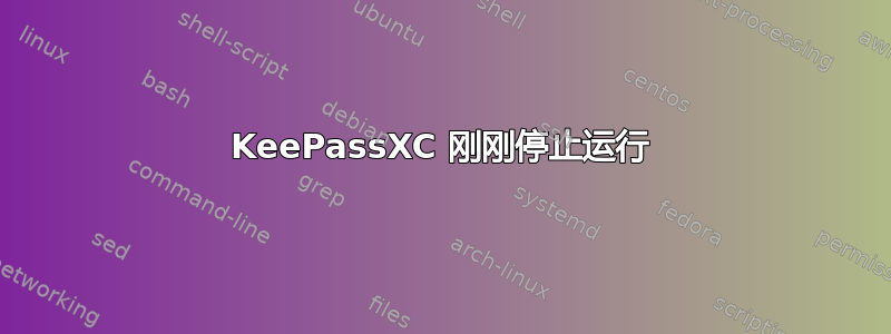 KeePassXC 刚刚停止运行