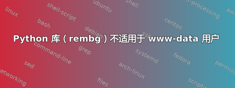 Python 库（rembg）不适用于 www-data 用户