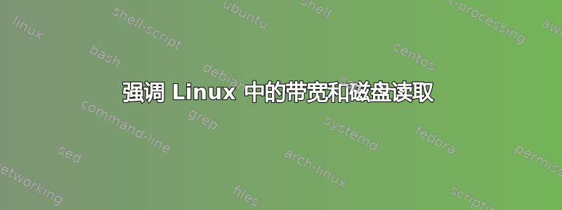 强调 Linux 中的带宽和磁盘读取