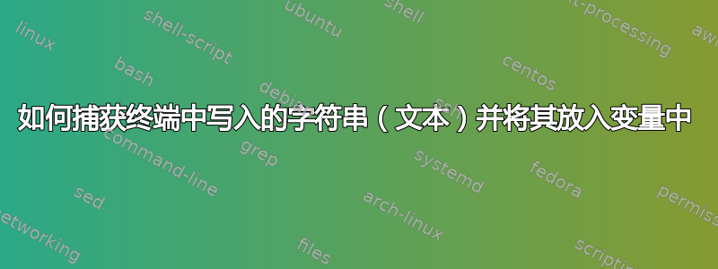 如何捕获终端中写入的字符串（文本）并将其放入变量中